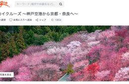 「桜スカイクルーズ」でお花見フライト！インバウンドの富裕層向け・新たな日本の上質体験が誕生「Voyagin Luxury Experiences」とは？