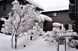 【DMO】雪国観光圏とは？ガストロノミー・多言語対応を駆使しインバウンド対策強化