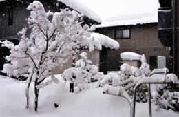 【DMO】雪国観光圏とは？ガストロノミー・多言語対応を駆使しインバウンド対策強化