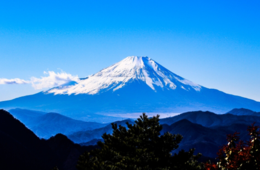 【DMO】やまなし観光推進機構とは｜国内・国外へ向けた情報発信で観光誘致を促進