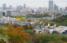 【DMO】東北観光推進機構が取り組むインバウンド対策とは | レンタカー用ステッカーの作成も