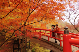 渋川伊香保温泉観光協会とは？ | プロモーション方法・取り組みを解説