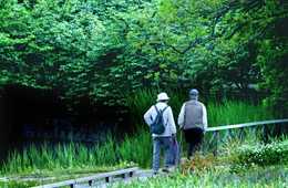 これからの旅行商品は「ユニバーサルツーリズム」が当たり前？　インバウンドビジネスでも積極的な取り組みを