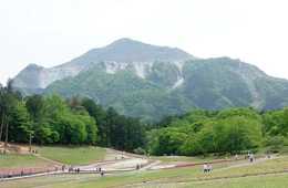 秩父のインバウンド観光客を増やす取り組みとは：4年で120万人の観光客増加・PR動画、免税、SNS対策が鍵か