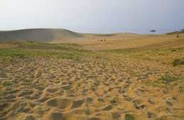 鳥取中部地震から約2週間　10月に最大震度6弱を記録した鳥取県、観光業への被害は？