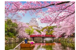 2019年世界の「大金持ち」が旅行したい国ランキング 日本は第2位にランクイン！