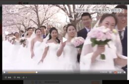 【中国】満開の桜のもと 66組のカップルが集団結婚式：中国人×桜の需要を口コミから分析