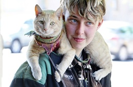 【猫の島】世界40億回再生のエド・シーラン楽曲が、福岡県の小島にインバウンド客を呼び込む