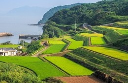 WWOOF（ウーフ）で訪日外国人を受け入れる3つのメリット＆2つの注意点 | ウーファー・ホストの違いも解説