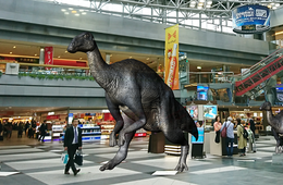 JTB、MR（複合現実）を活用した訪日外国人旅行者向け実証実験を実施