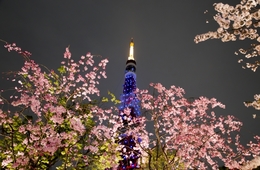 約3万人の増加！2019年4月の訪日外客数・前年同月比0.9％増！