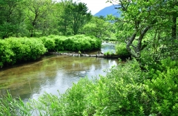 過去最高を更新！栃木県、2018年のインバウンド宿泊数を発表