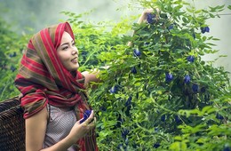 TABICA（たびか）とは？地域体験予約サイトでホストになる条件・サービス事例紹介