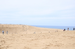 鳥取県「米子ソウル／米子香港国際定期便」の2019年5月利用実績を発表