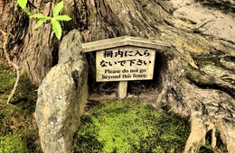 その英語、インバウンドに笑われていませんか？日本の多言語表記、2つの問題点＆鳥取県の一歩先行く外国語案内の事例を紹介