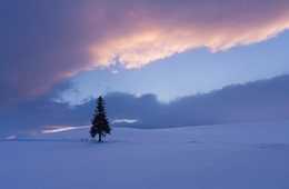 訪日台湾人観光客が選ぶ日本の観光地は国内でも大人気！東京観光から北海道観光まで