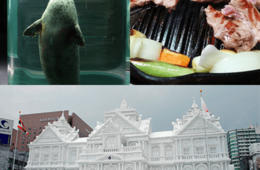 オンライン英会話アプリ「ネイティブキャンプ」が「都道府県教材 北海道」リリース