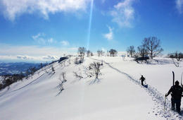 北海道ニセコが外国人に選ばれるその理由：インバウンド誘致の正攻法とは