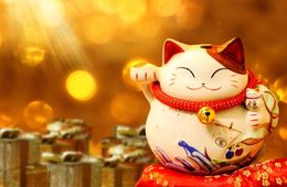 ブルームストリートが「NAVER」における韓国人の検索動向を独自調査