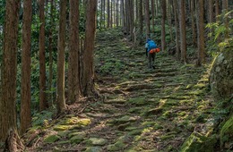 世界遺産で初の不名誉：熊野古道の滑落事故はなぜ起きた？環境保護と安全対策を両立するには