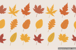 訪日外国人観光客は10月に何を目当てに日本に訪れているのか？