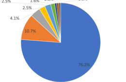 外国人エンジニアがホンネを語る！日本で働くメリット・デメリット