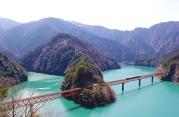 人口たったの6800人、静岡の秘境「川根本町」COOL JAPAN AWARD 2019受賞でインバウンド需要を獲得できるか!?株式会社Arinosの取り組み