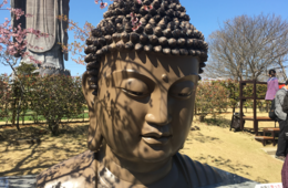 なぜ牛久に外国人？世界最大の大仏だけじゃない茨城県のインバウンド市場におけるポテンシャルを探る
