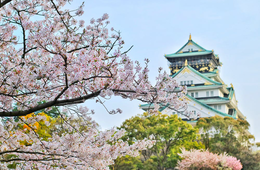 都道府県＆市区町村魅力度ランキング2017&2018 | 6年連続最下位「茨城県」でも訪日外国人に人気のスポットとは？