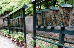 広島「大聖院」（だいしょういん）とは | 日本の観光スポットランキング2017にランクイン・インバウンド対策・見どころも紹介