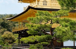 東日観光とは | 旅行代理店・訪日外国人向けツアー・人気3コース・インバウンド対策を紹介