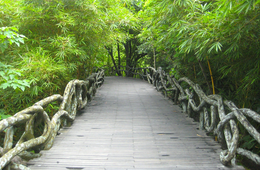 【8月27日無料セミナー】フルスピード×バイドゥ共催 百度検索ビッグデータを活用した中国マーケティングセミナー