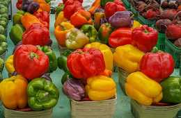 飲食店でのインバウンド対策で必須知識！訪日外国人に多い「ベジタリアン」とは？