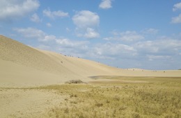”日本人に不人気”でもインバウンドには違った光景？鳥取県は目線を変えればこんなに完璧だった！アクセス良好＆自然＆歴史