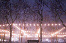 「夜の果樹園」から学ぶ！福島市のナイトタイムコンテンツでウケた"アルコール＆幻想的な雰囲気"