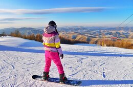 「パンフレット」実際どのくらい効果がある？＋アルファの効果を見せつけた仙台国際空港みちのく観光案内の取り組み