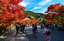 【中国】国慶節の旅行先ランキング、今年も日本が1位！旅行者は8億人・Ctrip利用者の60％が海外へ！日本が不動の人気を得た理由とは？