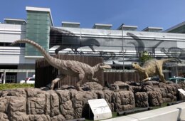 福井県のインバウンド誘客事例／ジョブズが宿泊「禅」の永平寺と「京都から一番近い海」宿泊者数の最下位を脱出