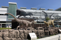 福井県のインバウンド誘客事例／ジョブズが宿泊「禅」の永平寺と「京都から一番近い海」宿泊者数の最下位を脱出