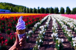 【10/30＠札幌】北海道で初開催！訪日観光客を増やしたい方必見の”中国個人旅行客集客ノウハウ”を公開するセミナー