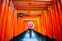 京都府インバウンド事例3選｜トリップアドバイザーで人気の名所・見所ランキング