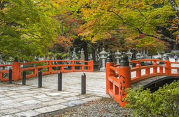 和歌山県のインバウンド事例、3つを紹介！インバウンドデータと現状・アジアからの訪日客に人気・市場別プロモーション・高野山や熊野古道・受け入れ環境整備も解説