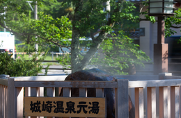 兵庫県インバウンド成功事例｜城崎温泉をフックにした豊岡市と各地域のPR活動