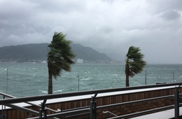 【調査結果】「台風19号の災害情報等における事前対応に関する訪日外国人調査」31.1％が自力で情報収集／サーベイリサーチセンター