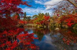 【人気スポットランキング】11月が本番「紅葉」訪日旅行：2018年の検索データから今年の各国傾向を予測！
