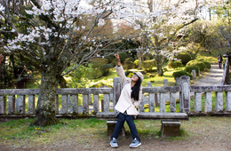 7割以上がリピーター！訪日タイ人にとっての日本の魅力は「四季」「日本古来の風景」「テーマパーク」注意したい2つのマナーとは？