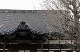 訪日米国人観光客に人気の日本文化体験：茶道や殺陣、座禅などにチャレンジ