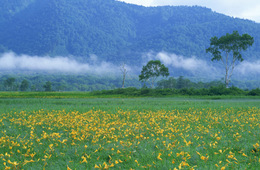 【法務省発表】2019上半期「外国人入国者数」クルーズ船での往復が減少傾向 