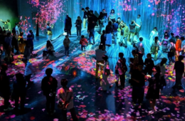 外国人も夢中「チームラボボーダレス」驚異的インバウンド人気を実現した3つのポイントとは？