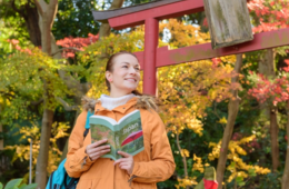 【必須の事前予約締切は11/29！】東京都による「観光経営力強化事業」補助金は最高1,500万円！申請手順を解説